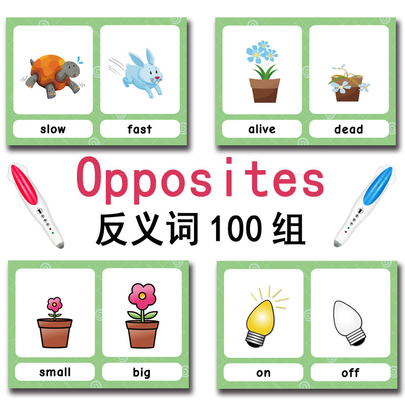 Tarjetas de memoria con 100 gr - Kid Educational reseña y precio