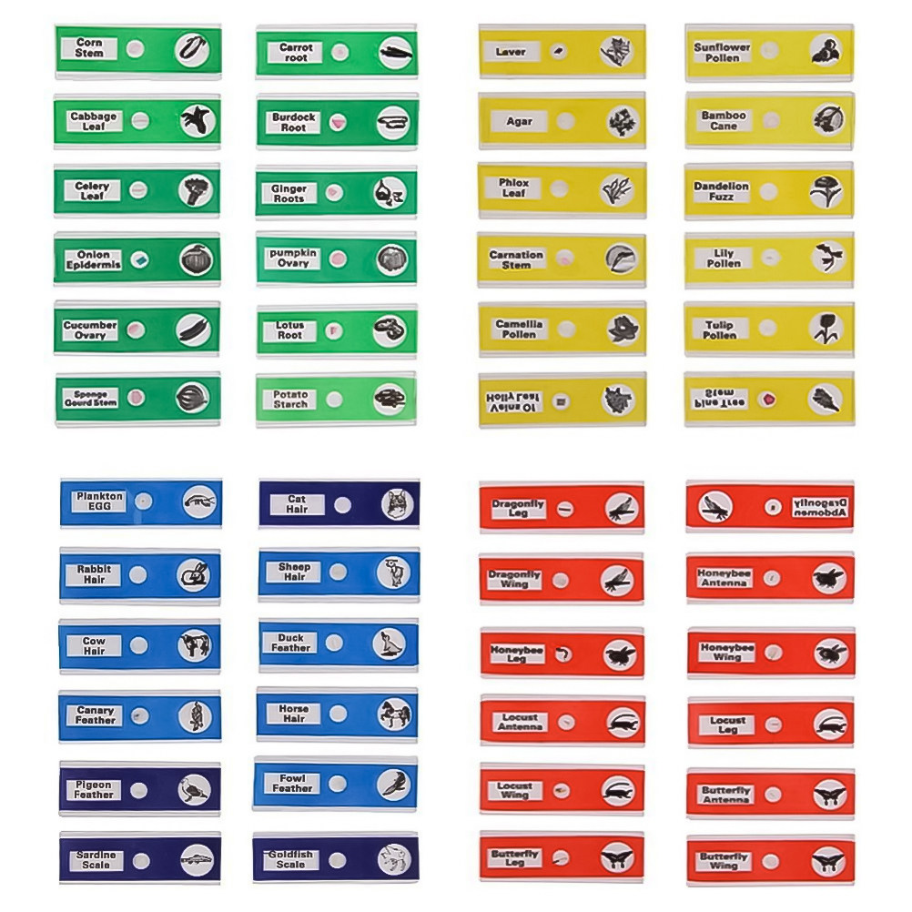 Juego de 24 Portaobjetos de Pl - Kids Education Name reseña y precio