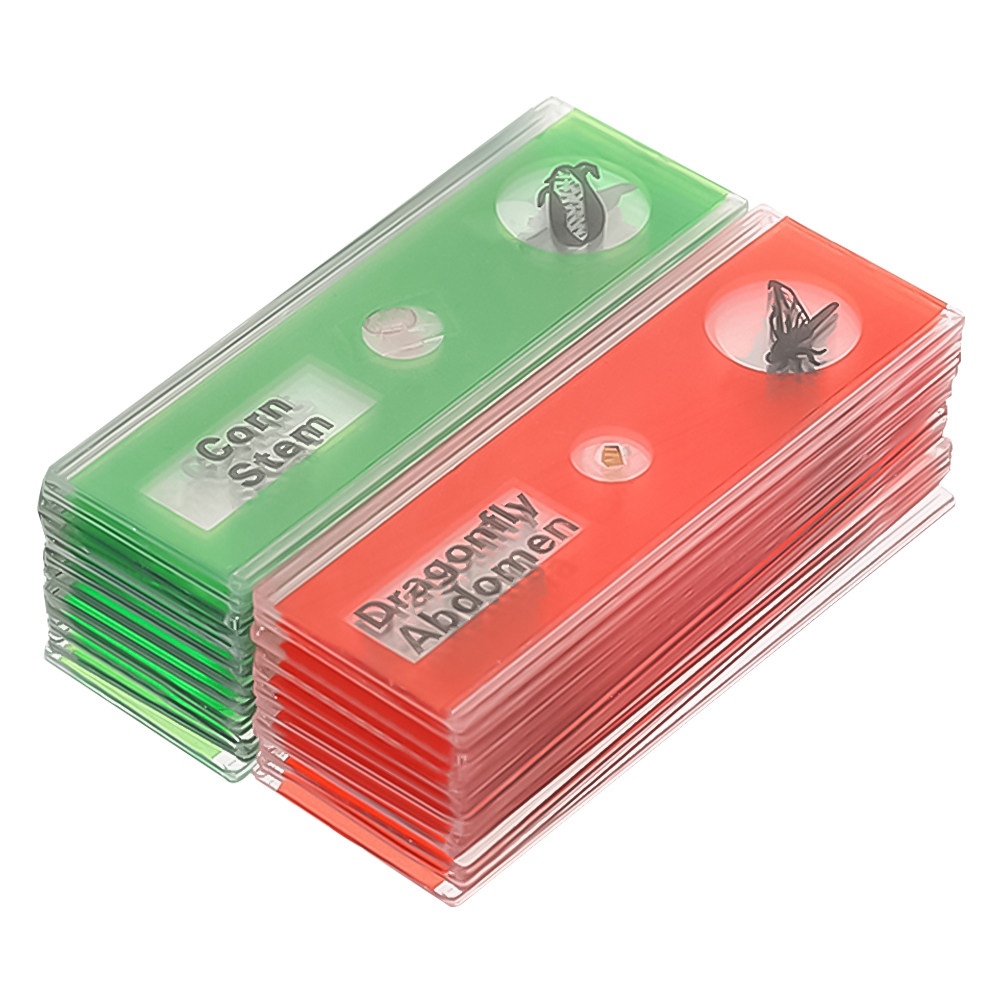 Juego de 24 Portaobjetos de Pl - Kids Education Name reseña y precio