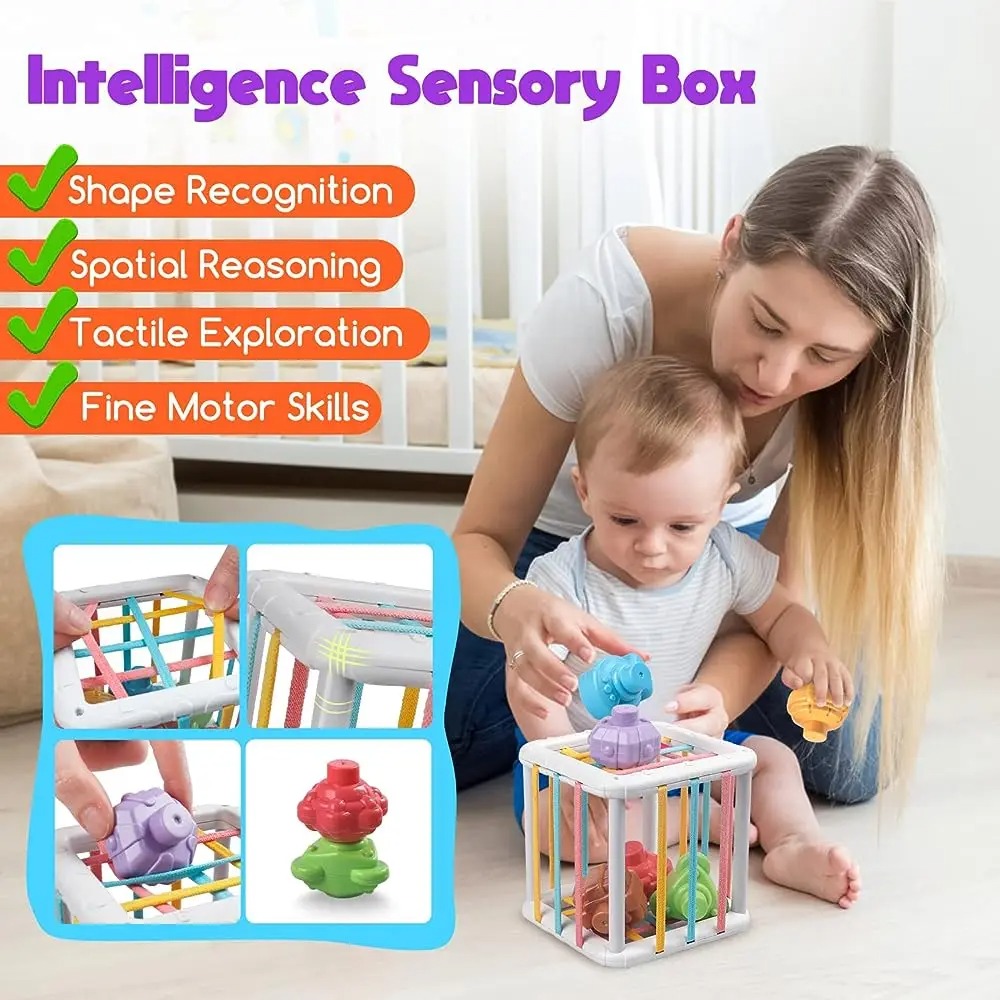 Cubo de Clasificación de Forma - Kid Educational reseña y precio