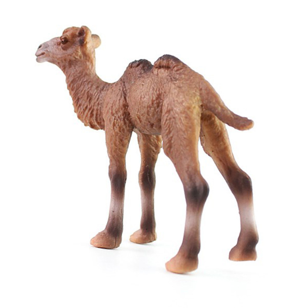 Escultura de Camello Premium H - Kids Education Desk reseña y precio